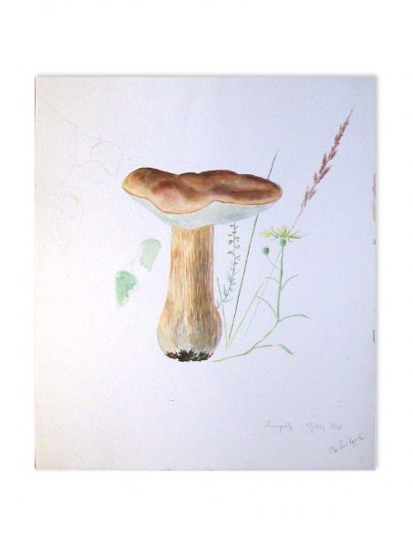 035 Steinpilz. Aquarell 35.5x41.5 cm